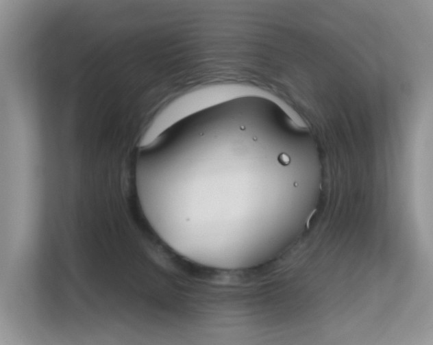 X0000111860080200908131508