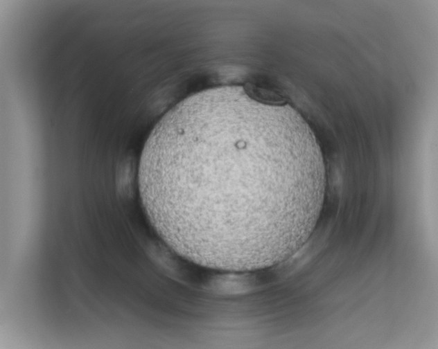 X0000111860082200908131508