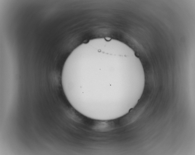 X0000111860083200908131508