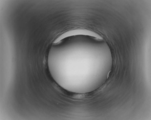 X0000111860084200908131508