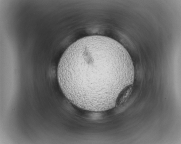 X0000111860085200908131508