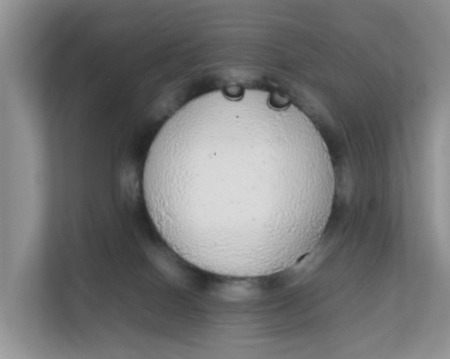X0000111860086200908131508