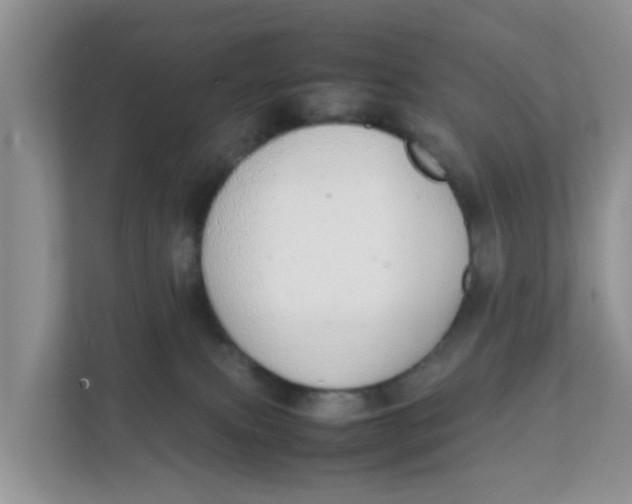 X0000111860087200908131508