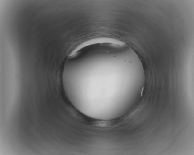 X0000111860088200908131508