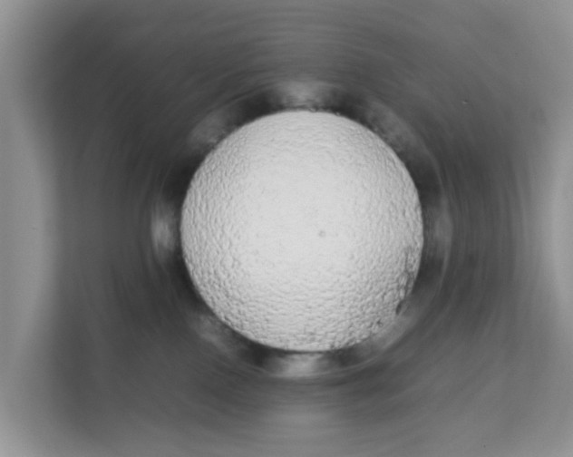 X0000111860090200908131508