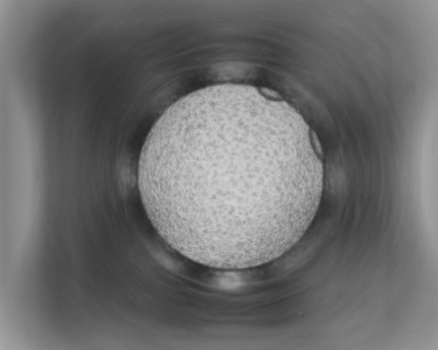 X0000111860091200908131508
