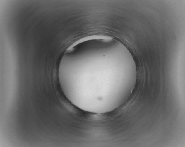 X0000111860092200908131508