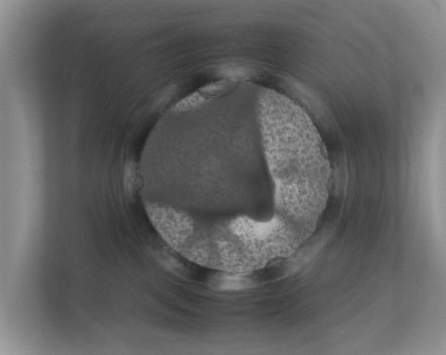 X0000111860093200908131508