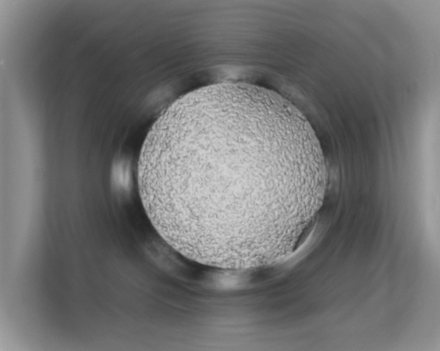 X0000111860094200908131508