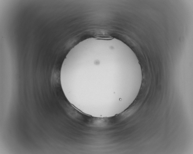 X0000111860096200908131508