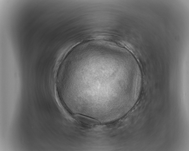X0000111860097200908131507