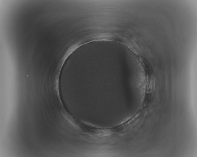 X0000111860099200908131507