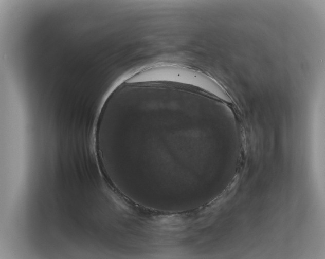 X0000111860100200908131507