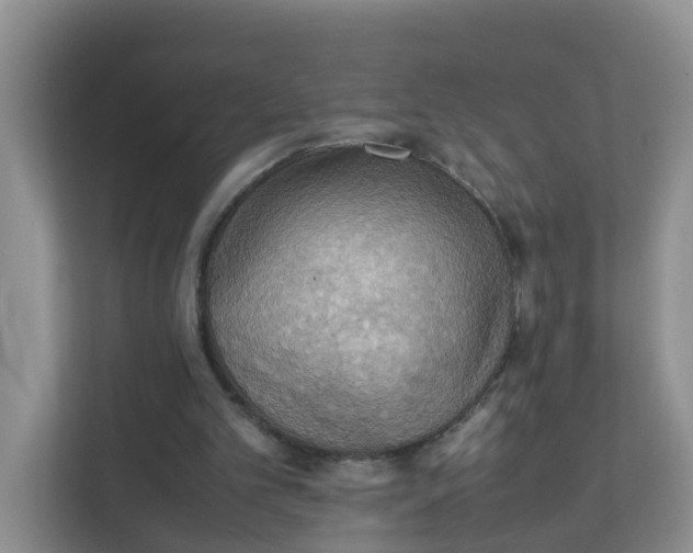 X0000111860101200908131507