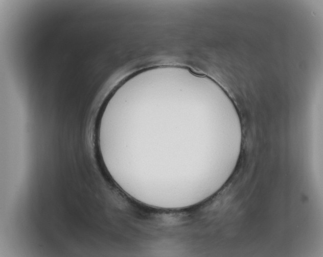 X0000111860103200908131507