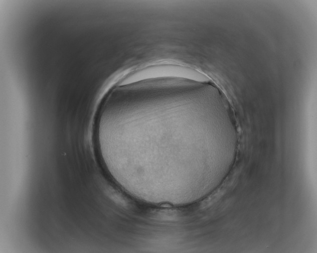 X0000111860104200908131507