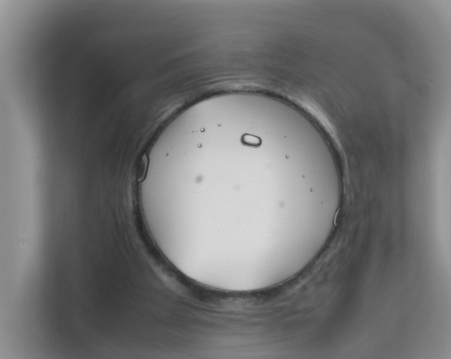X0000111860105200908131507
