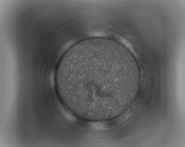 X0000111860106200908131507