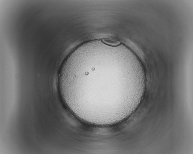 X0000111860107200908131507