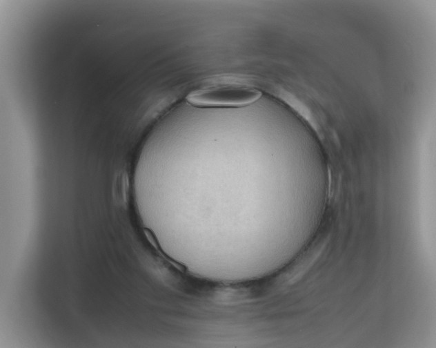 X0000111860109200908131507