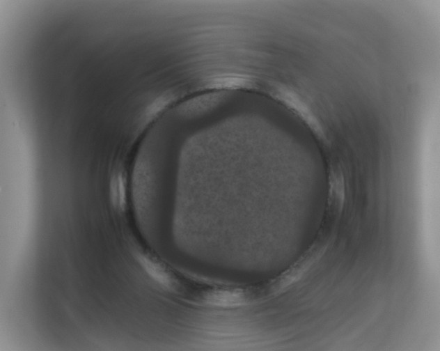 X0000111860110200908131507
