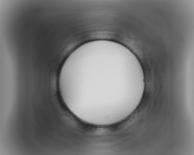 X0000111860111200908131507