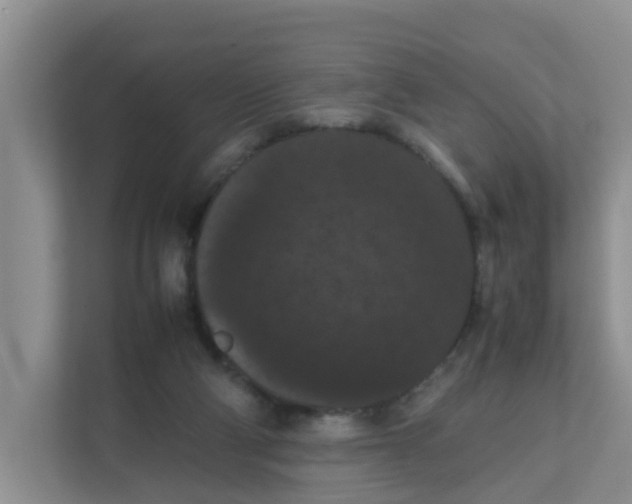X0000111860114200908131507