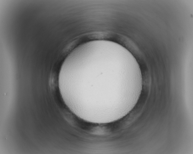 X0000111860119200908131507