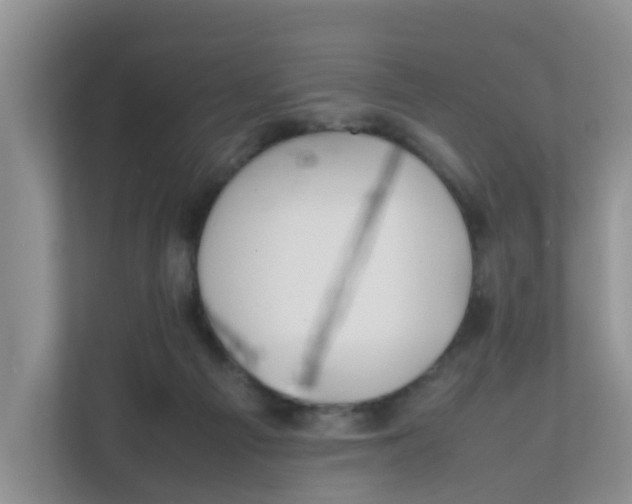 X0000111860121200908131507