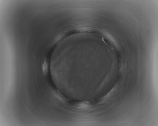 X0000111860124200908131507