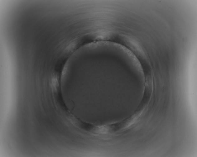 X0000111860127200908131507