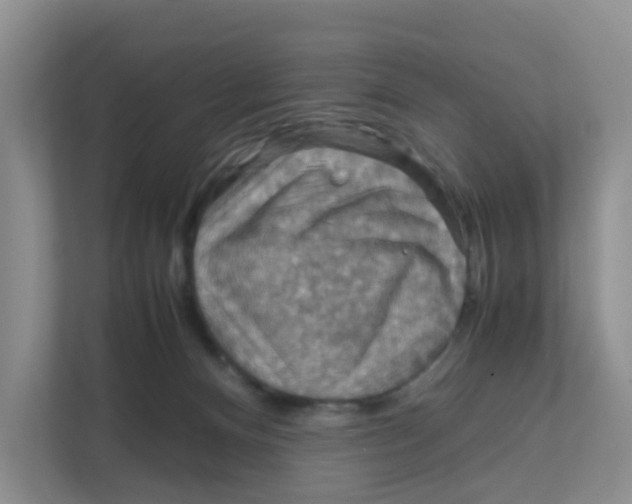 X0000111860128200908131507