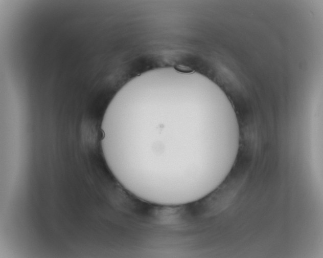 X0000111860129200908131507
