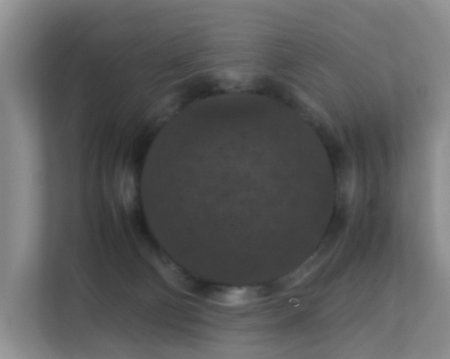 X0000111860130200908131507