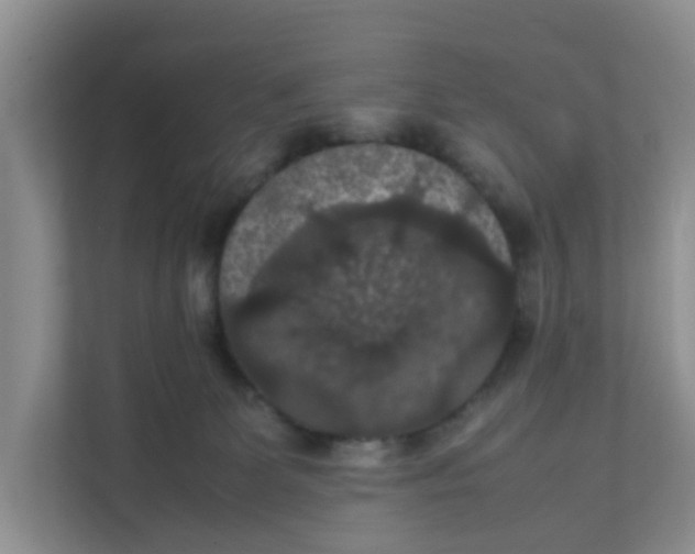 X0000111860131200908131507