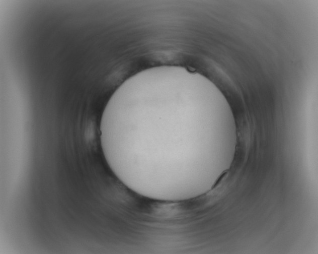 X0000111860132200908131507