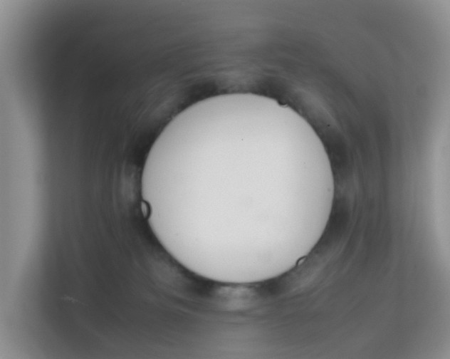 X0000111860133200908131507
