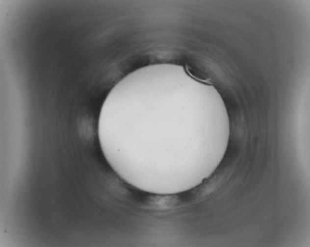 X0000111860135200908131507