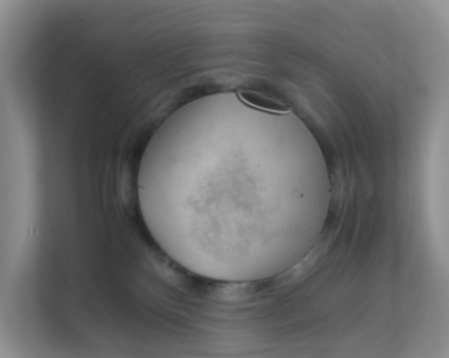 X0000111860136200908131507