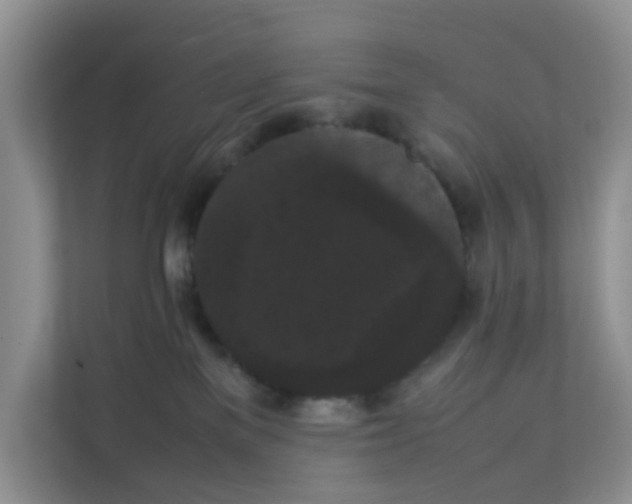 X0000111860137200908131507