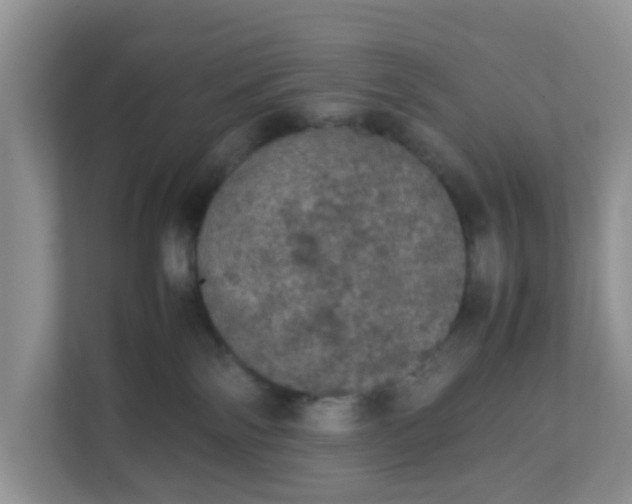 X0000111860138200908131507