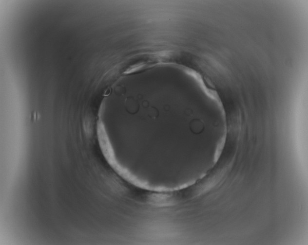 X0000111860139200908131507