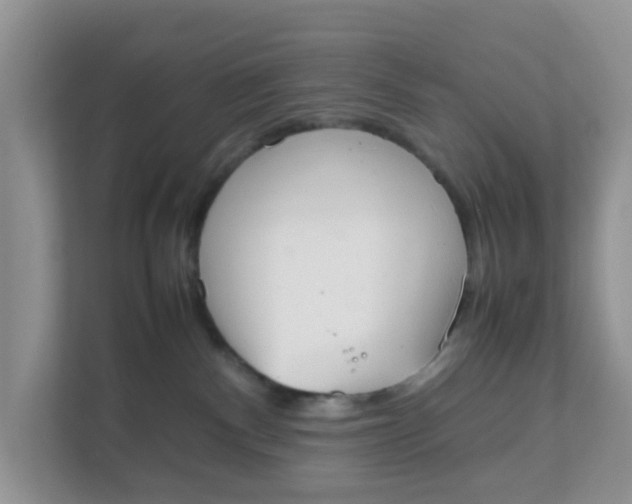 X0000111860140200908131507