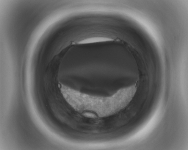 X0000111860143200908131506