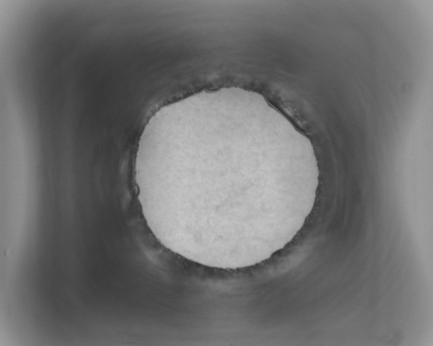 X0000111860144200908131506