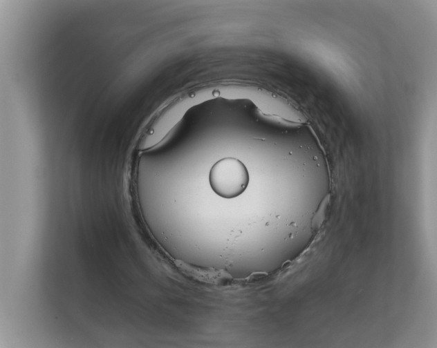 X0000111860146200908131506