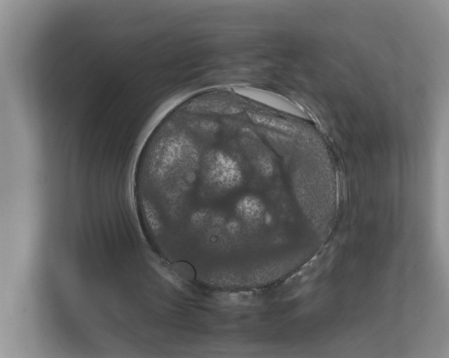 X0000111860147200908131506