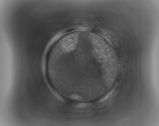 X0000111860149200908131506
