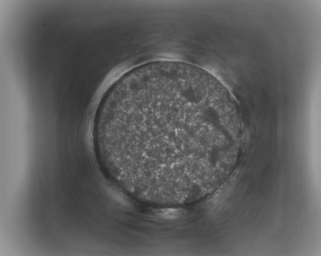 X0000111860151200908131506