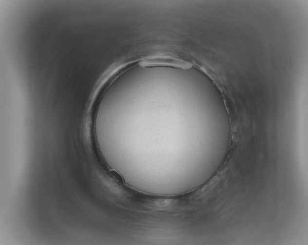 X0000111860152200908131506